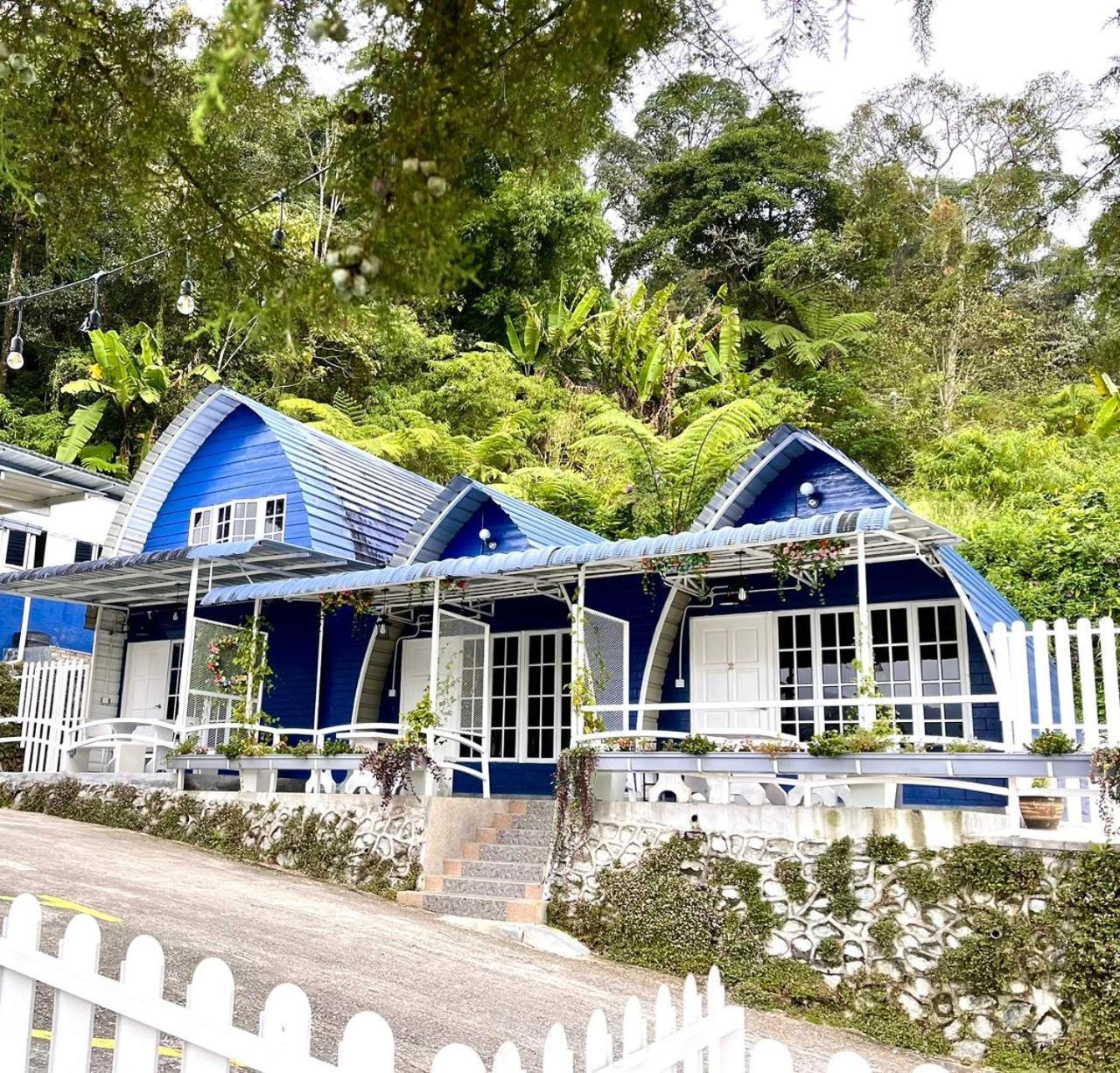 Blue Cabins By Pfordten Cottage Cameron Highlands Kültér fotó