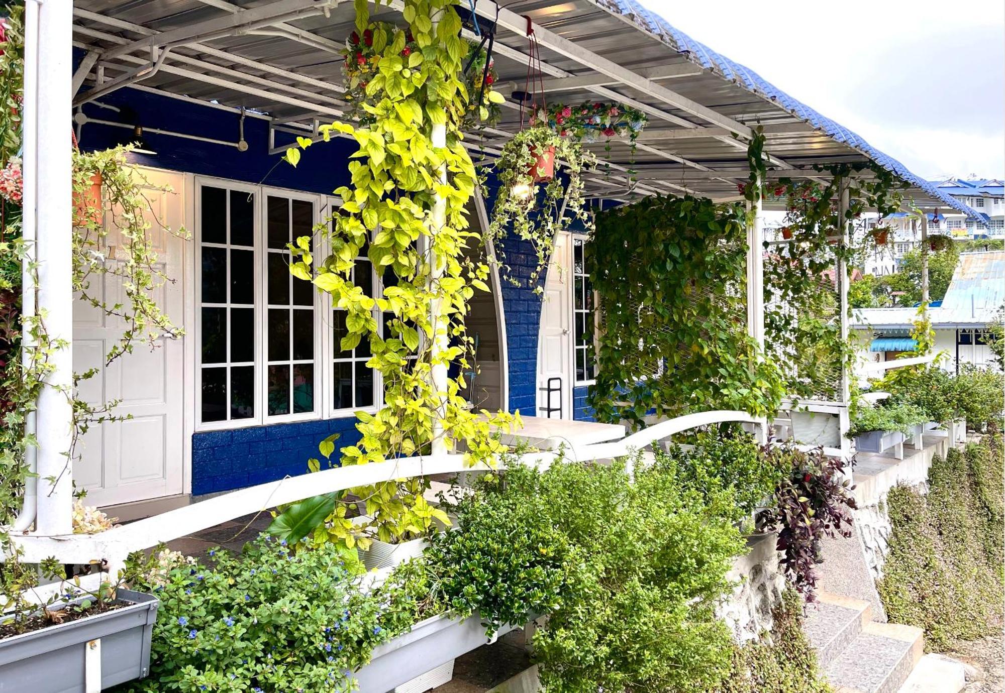 Blue Cabins By Pfordten Cottage Cameron Highlands Kültér fotó